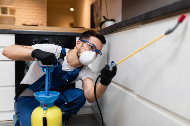 Best Rat Extermination Near Me  in Amberley, OH
