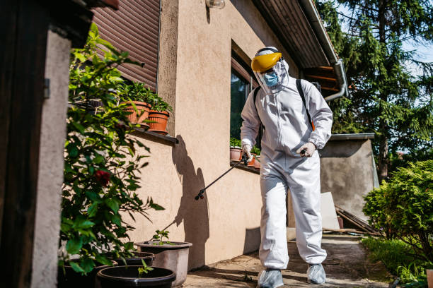 Best Wasp Removal Services  in Amberley, OH