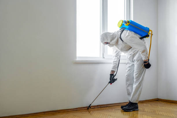 Best Best Pest Control Companies  in Amberley, OH