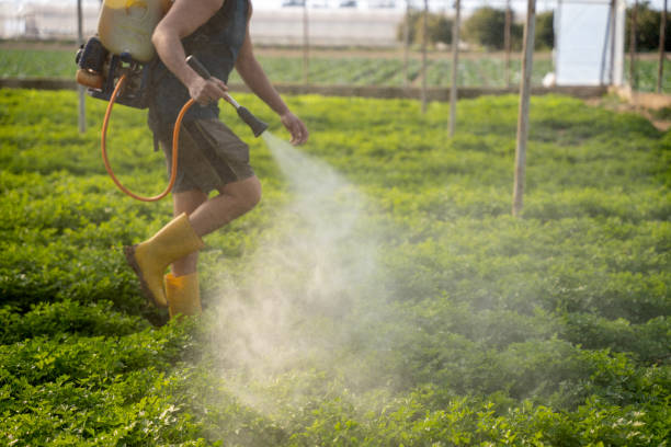 Best Best Pest Control Companies  in Amberley, OH