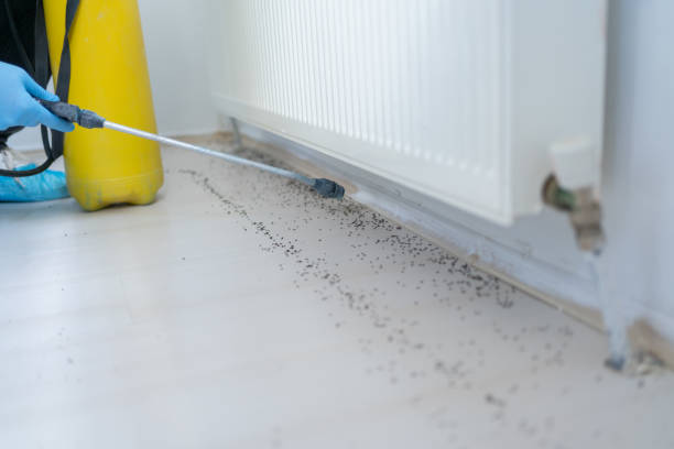 Best Cockroach Control Services  in Amberley, OH