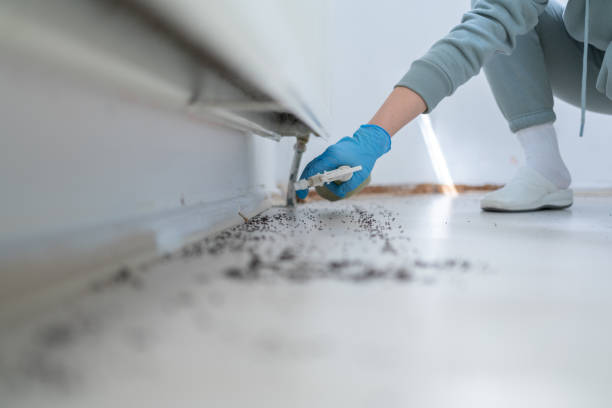 Best Ant Control Services  in Amberley, OH